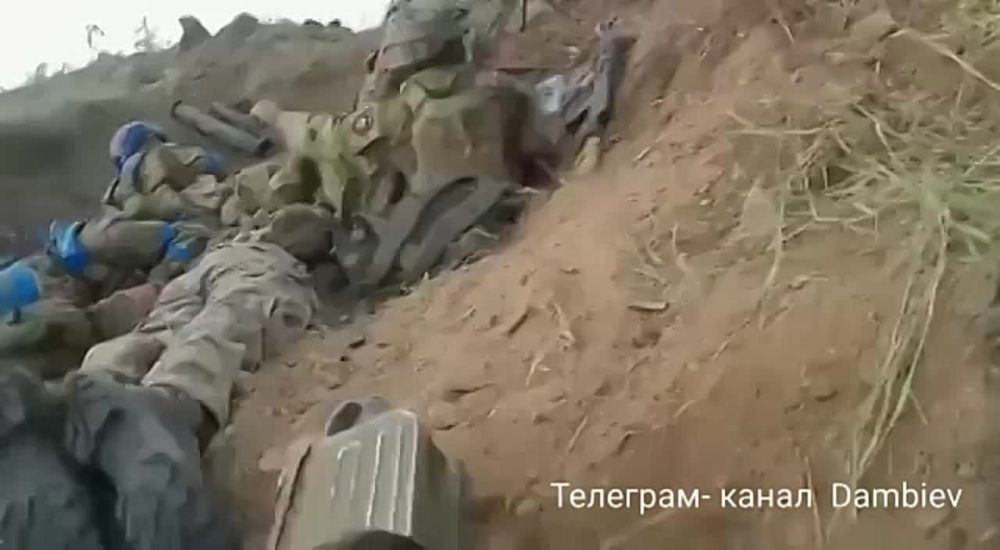 ������ �������: ������ ����������� ���������������� �� ����������� �����������