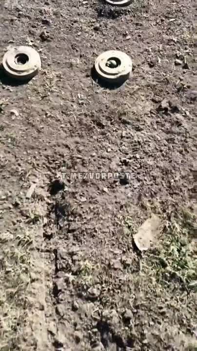 �������������� ��� ������ �����