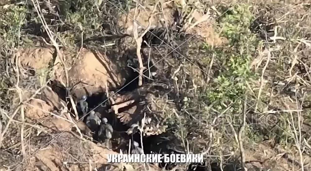 Андрей Руденко: Продолжаем сбор для бойцов 70 полка стоящих на пути украинского контрнаступления на Запорожском направлении