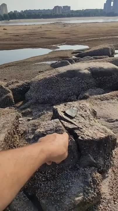 ����������� ������� ��� ����������� � ������ ���������, �������� �������������� �������� �������