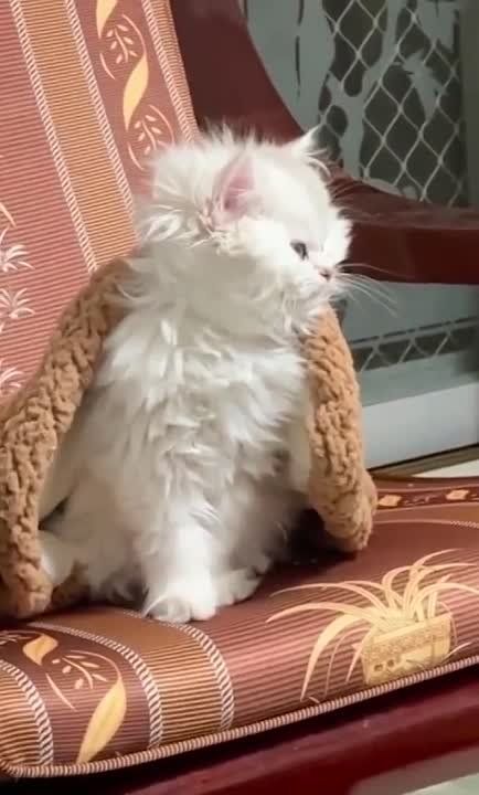 ������ ��������� ���� ������