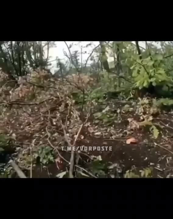 ������ �� ����������� �����������