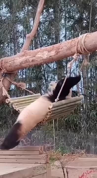 ��� � ������� ������� �����? ���. �����������