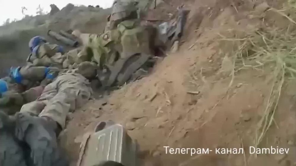 ������ ����������� ���������������� �� ����������� �����������