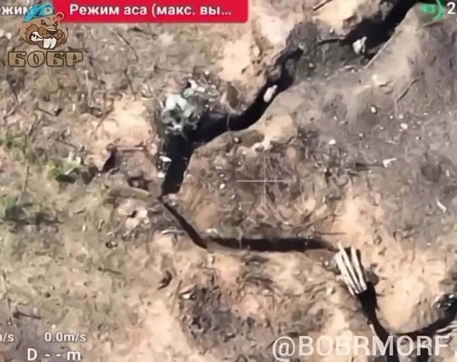 ����� ����� ���������� ������ ��� �� ����������� �����������