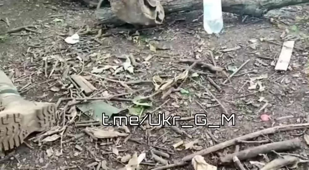 � ���, ����������, � ������������� �� ���� �� ������� ��������� �� ���������� �������
