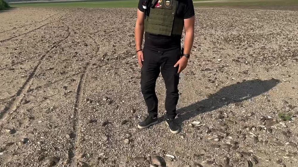 ��������� ����� � �����, ��� ������ ���� ��������� �������������