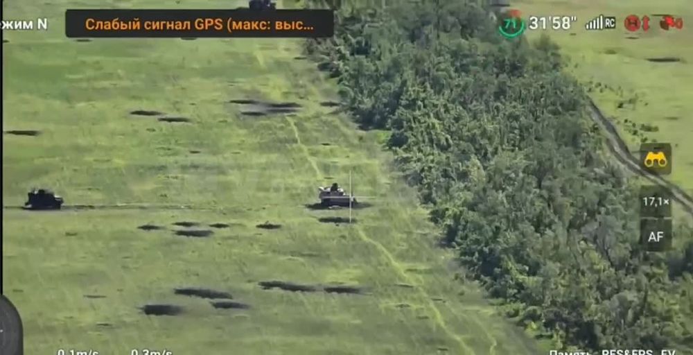 ����� �����: ��� �� ����������� �����������