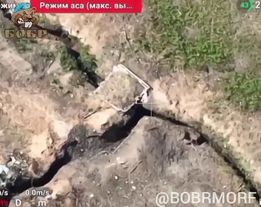 ����� ���������� ���������� �������� � ������� �������������