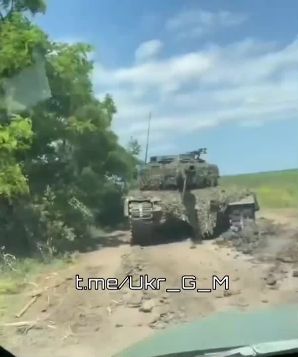 ����� ���� �������� ���� "Leopard", ���������� ���������