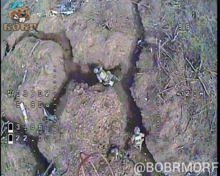 ����� ����������: FPV �����-��������� ��������� ����� � �������� ��� � ������� �� ����������� ������