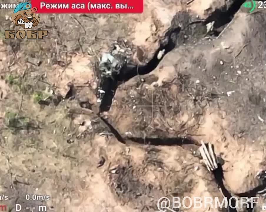 ����� ������ ������ ������ ���� �� ����������� ������ ��� �� ����������� �����������