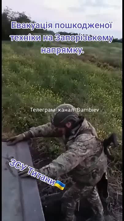 ������ �������: ������ ����������� ����������������