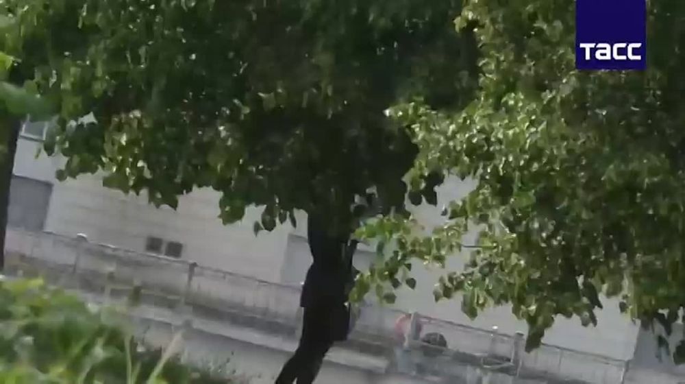 � ������ ��������� ���������� ��, ����������� ������� ��������� �������