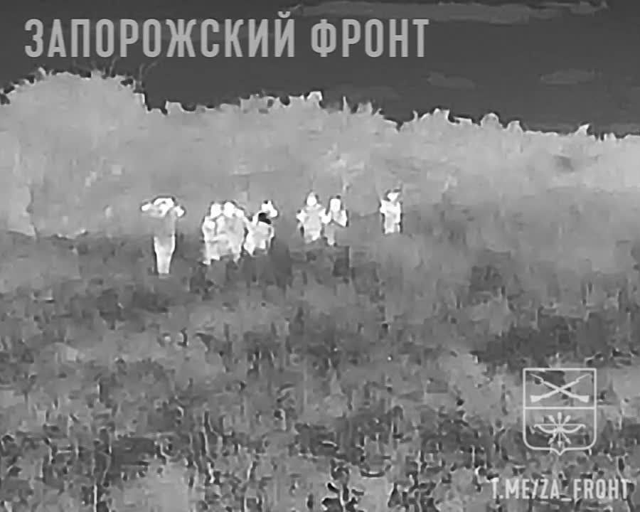 ����� ������������ �������� �������� ������������ ����� � ���� �������������� ��� �� ����������� �����������