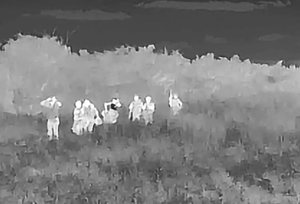 ����� �����: �������� ������� � ���� �� ����������� �����������