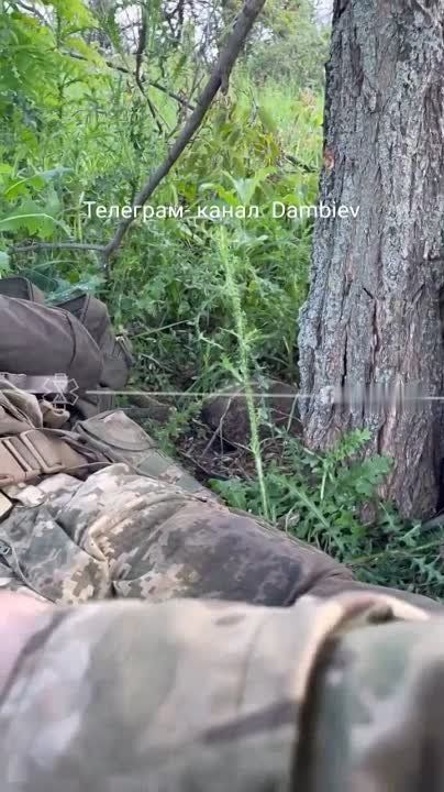 ������ �������: ������ ����������� ����������������