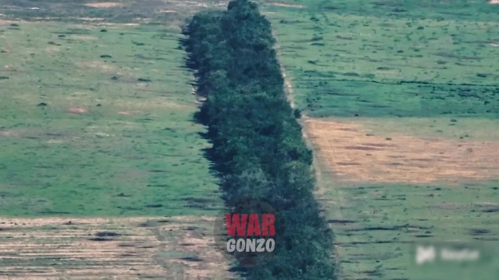 WarGonzo: ������������� � ���� ������� ����� ����������