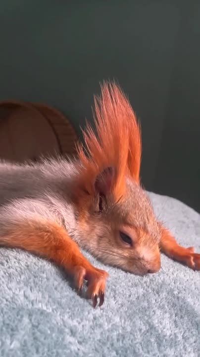 ������ ���� ����, ��� ��� �� ��� � �������