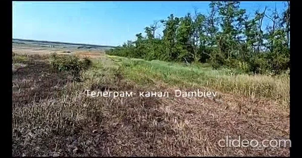 ������ �������: ������ ����������� ����������������