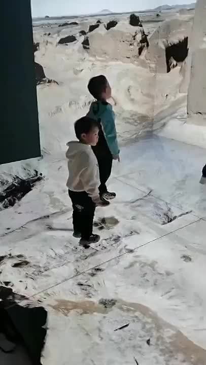 #��������������. �������������� �������� ������������ ����, ���������� � ������ ����������