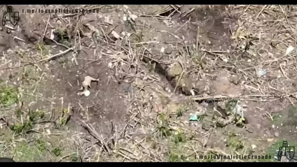 ����� �����: ����������� ����� ���������� �������� �� ������� � ������������ ������-��������� ��� ��������