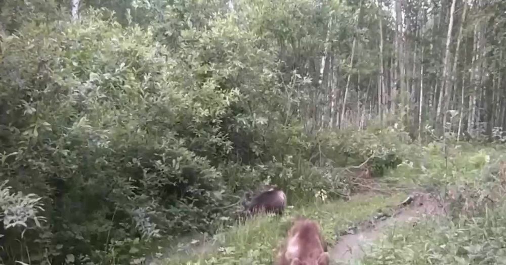 ����� �������� ������������ � ������������ � ��������� �������