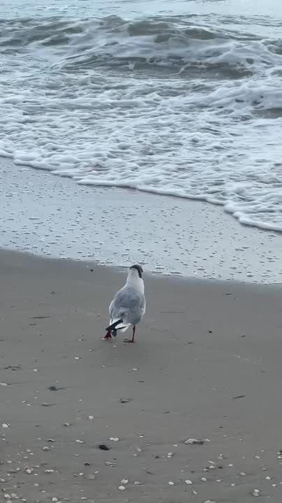 ������ ����� ��������. ���-�� �� ������ ��������� ����