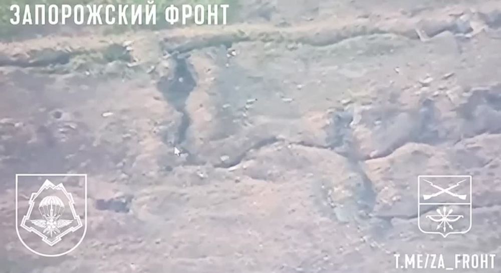 ����� ���������� ������ ���������� �������� ������� � ������������� ���