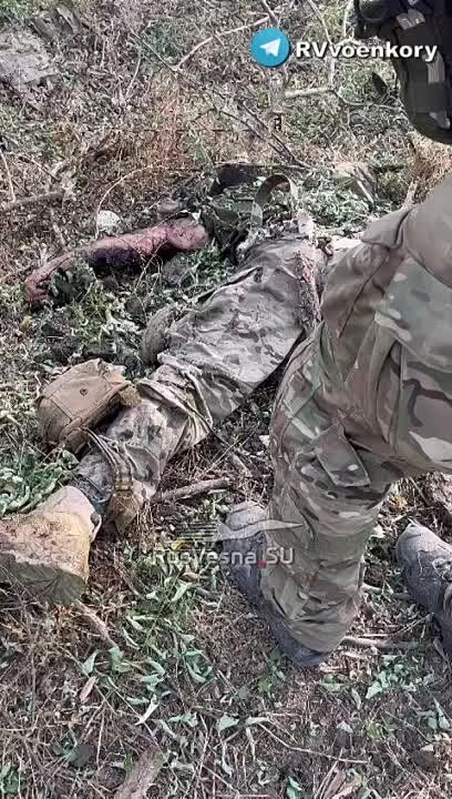 Евгений Лисицын: Российские подразделения у Орехова на Запорожском фронте уничтожили отряд украинских боевиков