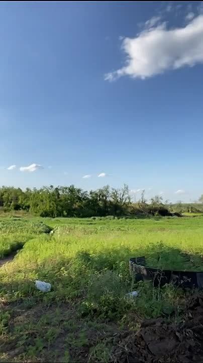 Евгений Лисицын: Запорожский фронт усеян в подбитых «Леопардах»