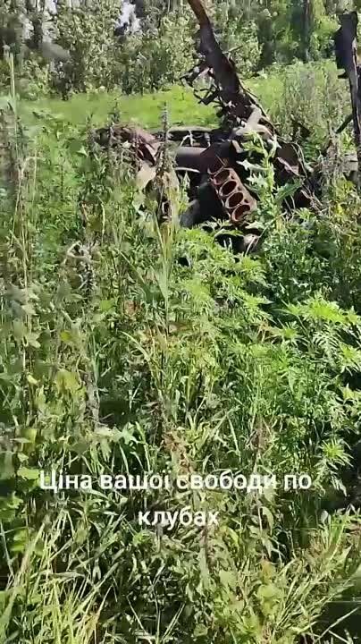 ���������� �������������� ��������� ��� � ���� ���. ZA_FROHT