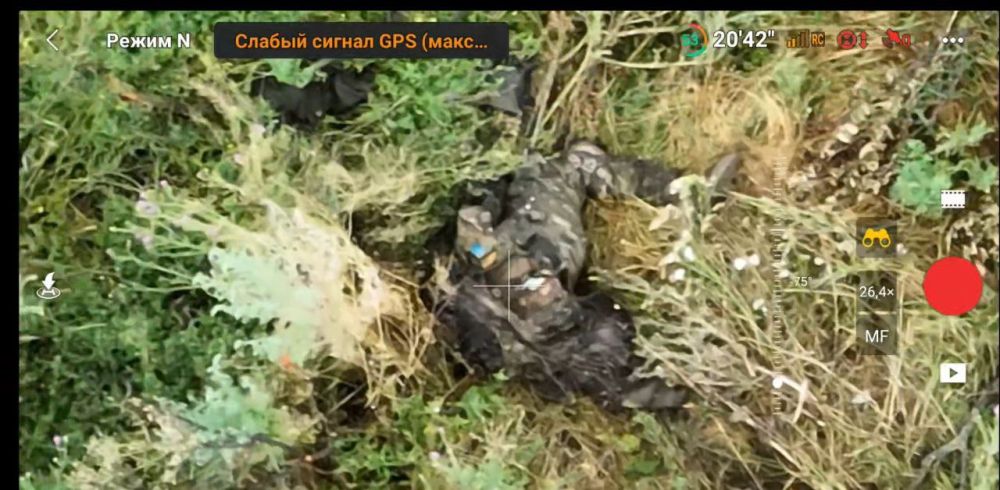 Евгений Лисицын: Украинские боевики продолжают нести большие потери на Запорожском направлении