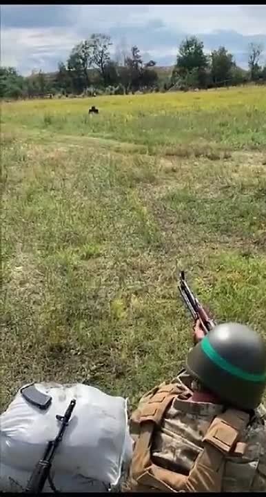 ���������� ������� ������� ��������� �������� ����������� ���������� ����� � ��������� ���������� � ��������������� ����������