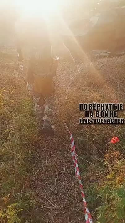 Евгений Лисицын: Еще одна БМП «Брэдли» минусовалась на Запорожском фронте