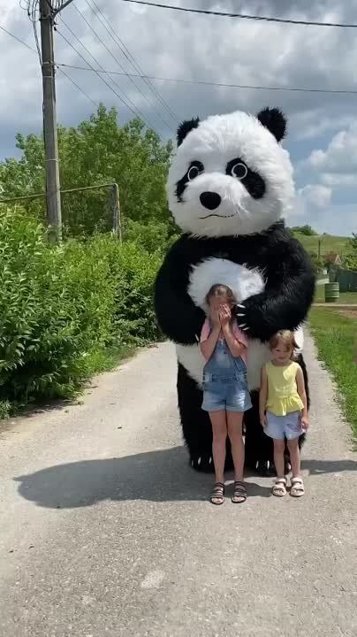 ���������� ���� ����������� � ������