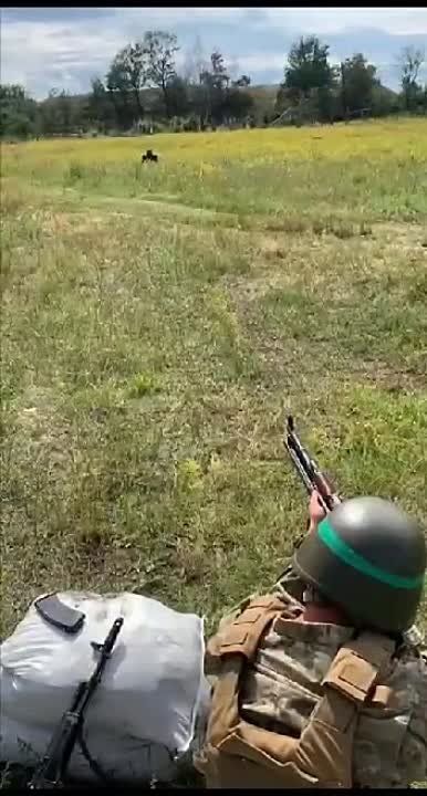 �������� ������ �������� ����� �� ����������� ����������� 5-�� ������
