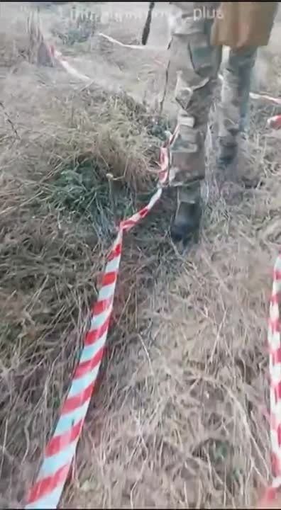 Андрей Руденко: Ещё один уничтоженный Брэдли на Запорожье