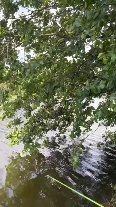 ����� ��� � �����. �������� �� �����.. ��� ����� | ��� ��� | ��� ��� #����������� #��������������������� #��������� #������