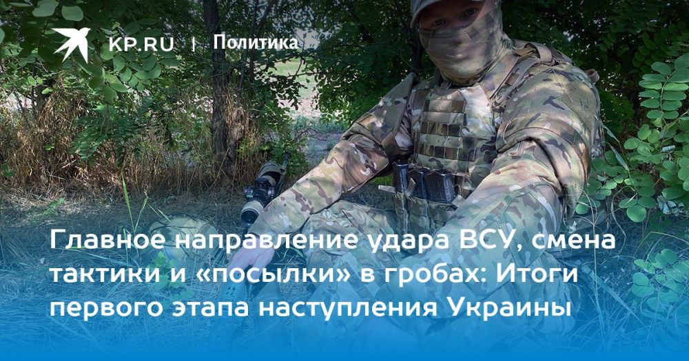 Дмитрий Стешин: Подвел итоги провалившегося контрнаступа в том месте, где он и провалился - под Работным, Запорожский фронт