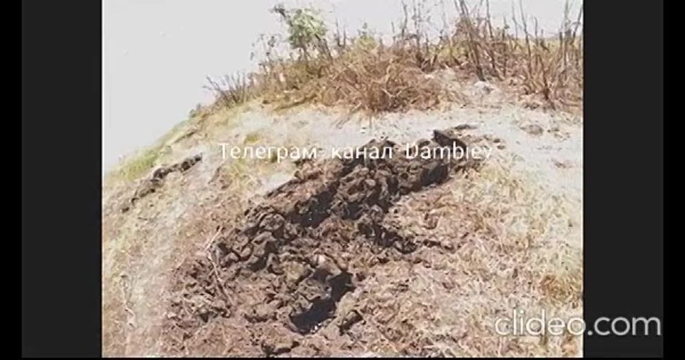 ������ �������: ������ ����������� ���������������� �� ����������� �����������