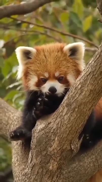 ������� ������ ��������������, ���������� � �����������, � ������ ��������� ��������� �����!