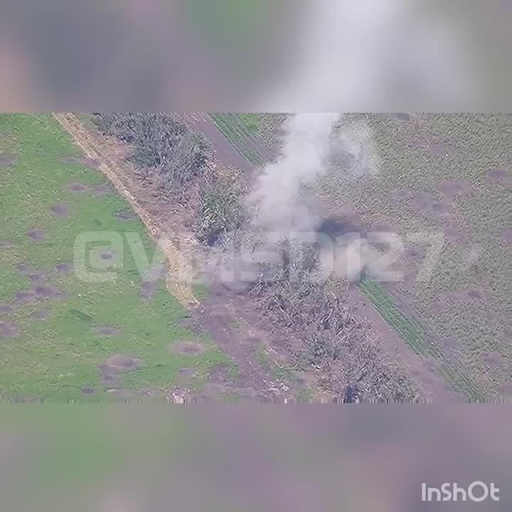 ������������ 127-� �������������� ������� 5-� ����� ��� �� ������ �������� ����� ���� ���������� �� ����������� �����������