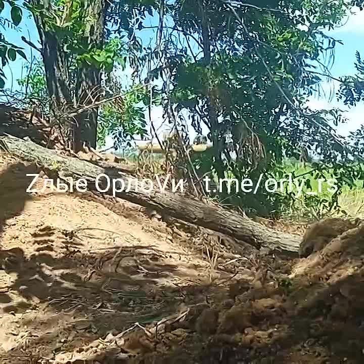"����� ����, ����! ������������!!!"