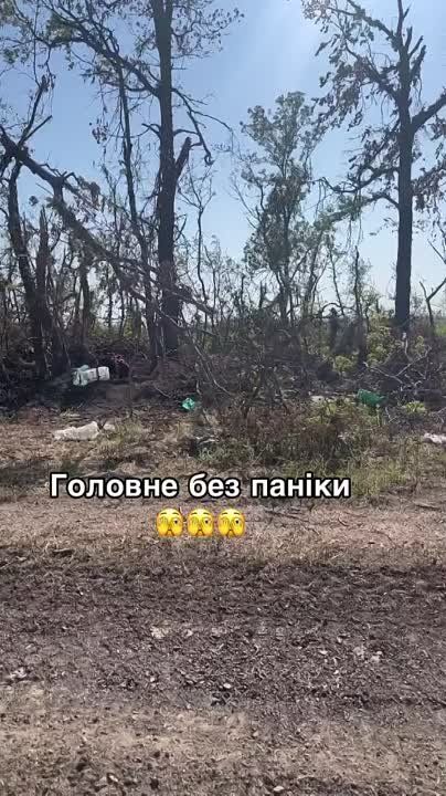 ������ �������: ��������� ������������ �� ����������� ����������� ���������� ��������������� International MaxxPro ������������� ������������