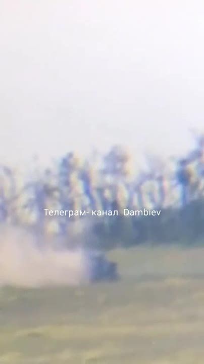 ������ �������: ����������� ����������� ��������������� International MaxxPro ������������� ������������ ������ � �������� �� ����������� �����������