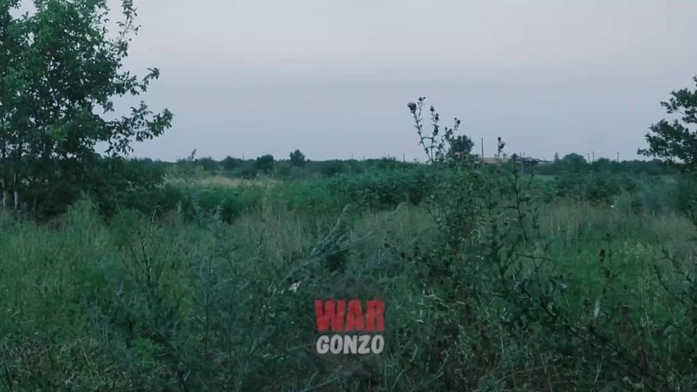 WarGonzo: �������� �������� � ��������� �������