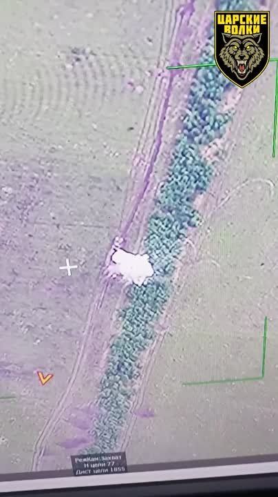 ���� 11 ������� �������� ����� ����� � �������, ��������� ������������ � �������� ��� �� ����������� ������