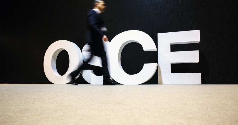 Комиссия Совфеда обратится в ОБСЕ из-за атаки на российских военкоров