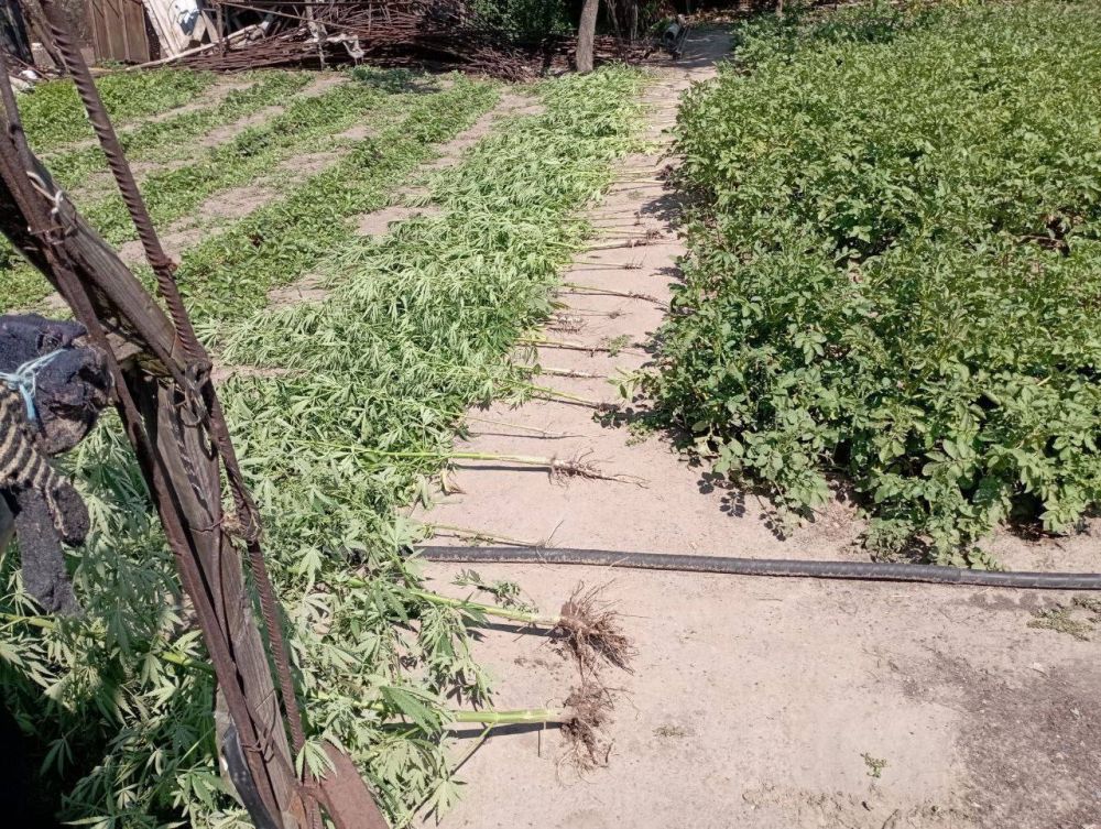 ����������� ���������� ����-��������� ������� � ������ ��������-������������ ������
